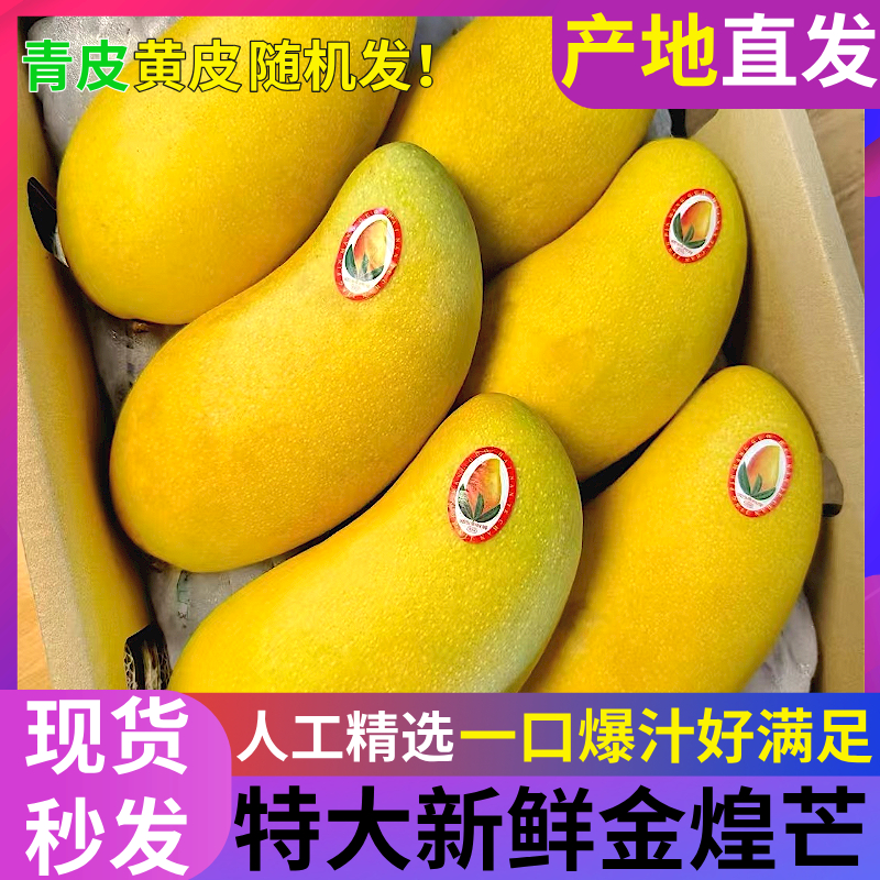 海南金煌芒精品芒果树上熟水仙芒新鲜现摘现发整箱礼盒装（包邮）