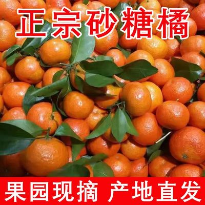 正宗广西砂糖橘新鲜水果9斤当季蜜桔金秋沙糖桔橘子贡柑整箱包邮