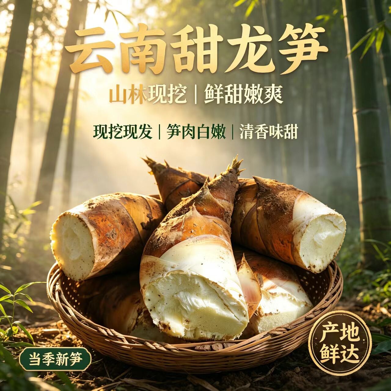 顺丰冷链】云南新鲜甜龙笋思茅普洱生吃水果笋鲜嫩春笋头蔬菜现挖