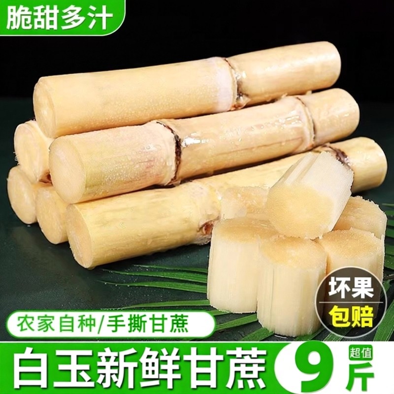 广西木格新鲜白玉甜甘蔗中段玻璃脆特产小甜杆现砍现发新鲜水果,水产肉类/新鲜蔬果/熟食,甘蔗,淘宝优惠券,粉丝福利购,淘宝优惠卷