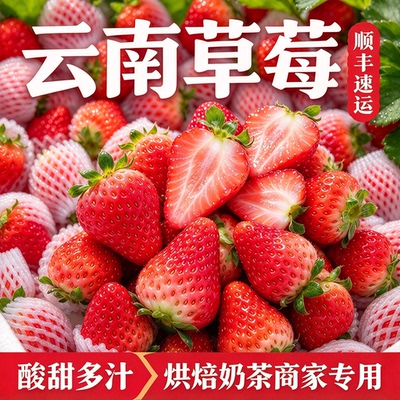 顺丰云南露天新鲜草莓红颜草莓孕妇水果冰糖葫芦专用烘焙现摘现发