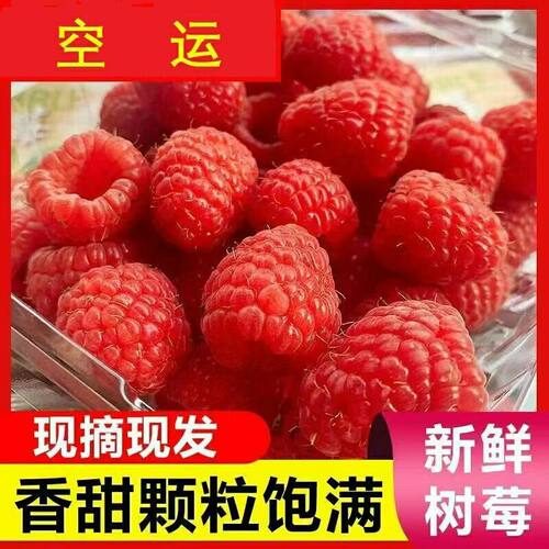 顺丰新鲜红树莓覆盆子带叶现摘稀有啵啵莓大树莓孕妇水果酸甜饱满