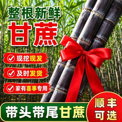 整根黑皮甘蔗海南三亚新鲜当应季水果特产结婚搬家新居喜事节节高