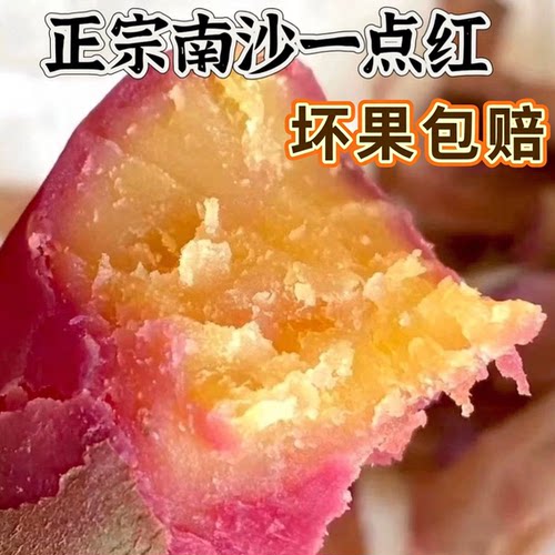 正宗广州南沙一点红番薯新鲜现挖冰淇淋红薯板栗薯自种蜜薯地瓜