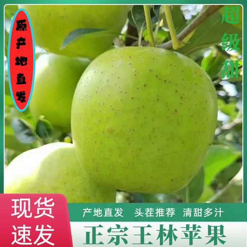 正宗新鲜王林苹果9斤当季现摘脆甜雀斑青苹果青森孕妇水果包邮