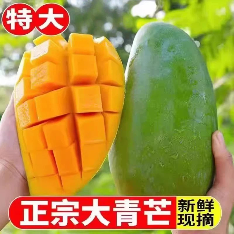 正宗大青芒新鲜10斤芒果应季整箱当季越南特大忙果金煌水仙包邮