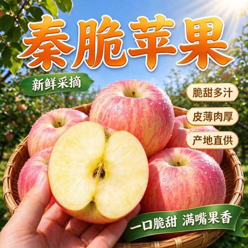 陕西正宗秦脆苹果脆甜富士苹果大果包邮当季新鲜孕妇儿童水果整箱