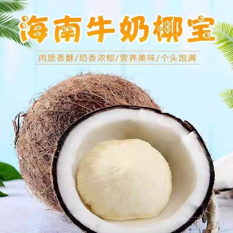 海南正宗新鲜椰宝发芽老椰子肉当季现摘新鲜孕妇水果椰汁椰皇包邮