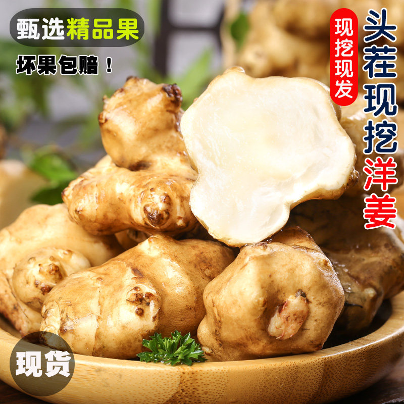 农家洋姜新鲜现挖5斤野生姜不辣鬼子姜生洋姜蔬菜酱菜腌制泡菜10