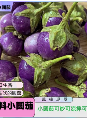 新鲜泰式小圆茄ca phao tim紫色小茄子东南亚餐厅食材原料包邮