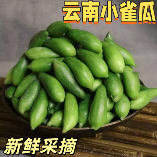 云南正宗德宏特产新鲜蔬菜小雀瓜 小角瓜美味素食装短季时令蔬菜