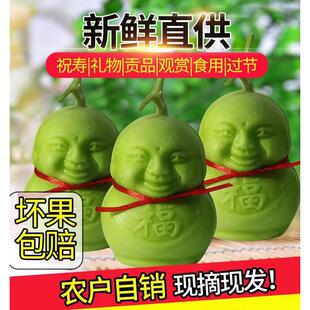 人参娃娃果 福娃人参果水果人形长寿果贡果甜瓜节日礼品罕见水果