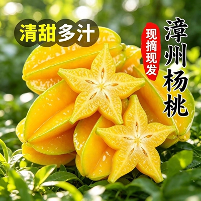福建新鲜甜杨桃5斤新鲜 水果洋桃鲜果红龙扬桃五角星阳桃整箱包邮