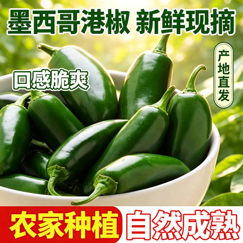 东北新鲜港椒辣椒泡椒墨西哥辣椒农家自种脆嫩皮薄肉厚头茬辣椒