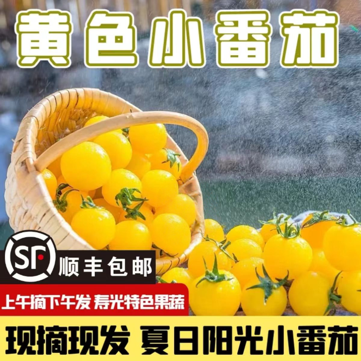 顺丰黄色圣女果夏日阳光新鲜小番茄自然熟多汁千禧冬季应季水果