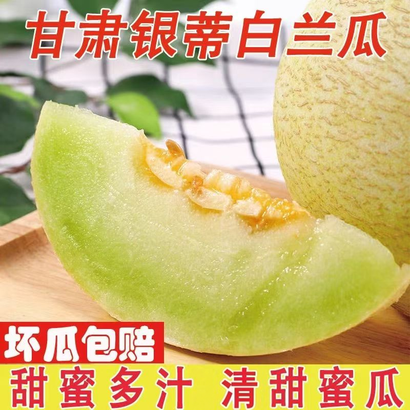 甘肃兰州白兰瓜银蒂哈密瓜白皮脆甜沙漠精品新鲜蜜瓜水果当季整箱