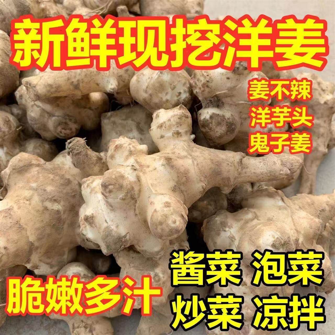 农家洋姜新鲜现挖5斤野生姜不辣鬼子姜生洋姜蔬菜酱菜腌制泡菜10