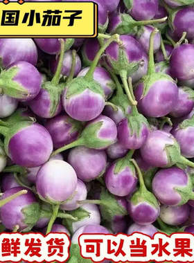 泰国新鲜小圆茄ca phao tim紫色小茄子东南亚餐厅食材泰式菜肴茄