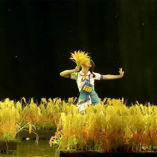 田山歌里稻谷香学生舞蹈团体舞演出服田园风表演服劳动舞蹈服新款