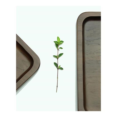 Black Walnut Rectangular Serving Tray Tea Dish Plate Natural