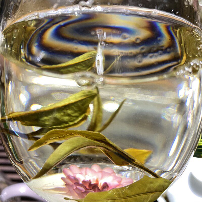 极速2023班盆大树白茶r100克价格猛烈生津 回甘持久 茶气强烈兰花