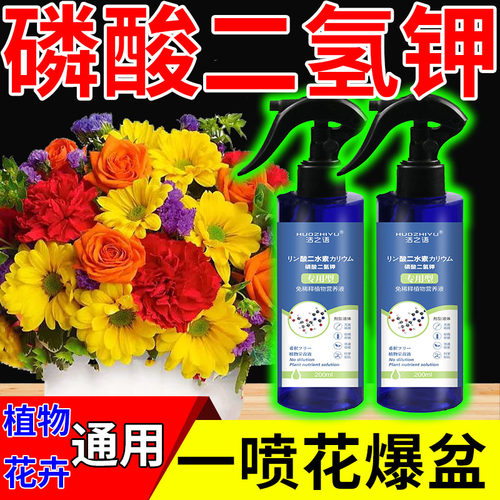 极速磷酸二氢钾肥料溶p液花卉专用叶面肥花肥家用养花植物通用型