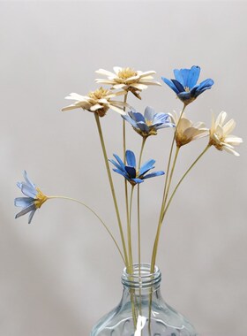 极速永生花干花手工j制作DIY日本大地农园瓜子壳花32140/32370燕