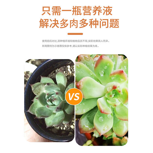 极速免稀释多肉营养液专用肥花肥料肉肉植K物家用盆栽通用型增色