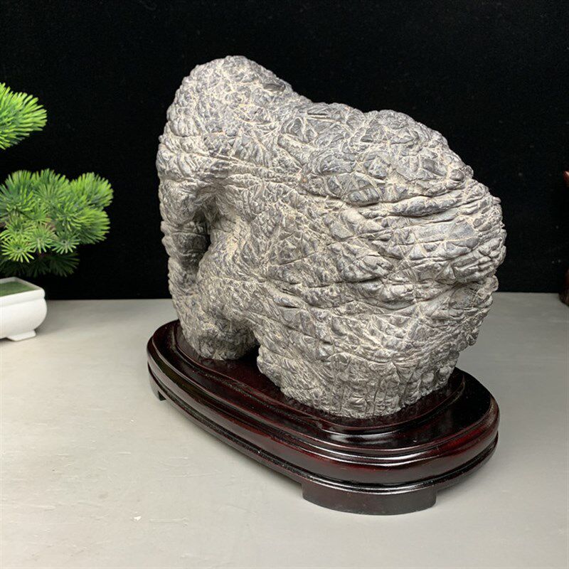 新品纹石c原石摆件龟纹石淄博纹石结核石观赏石象形石房山石博古