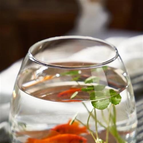 极速2023新款木托鱼缸网红insD风创意简约日式原木玻璃生态瓶鱼缸