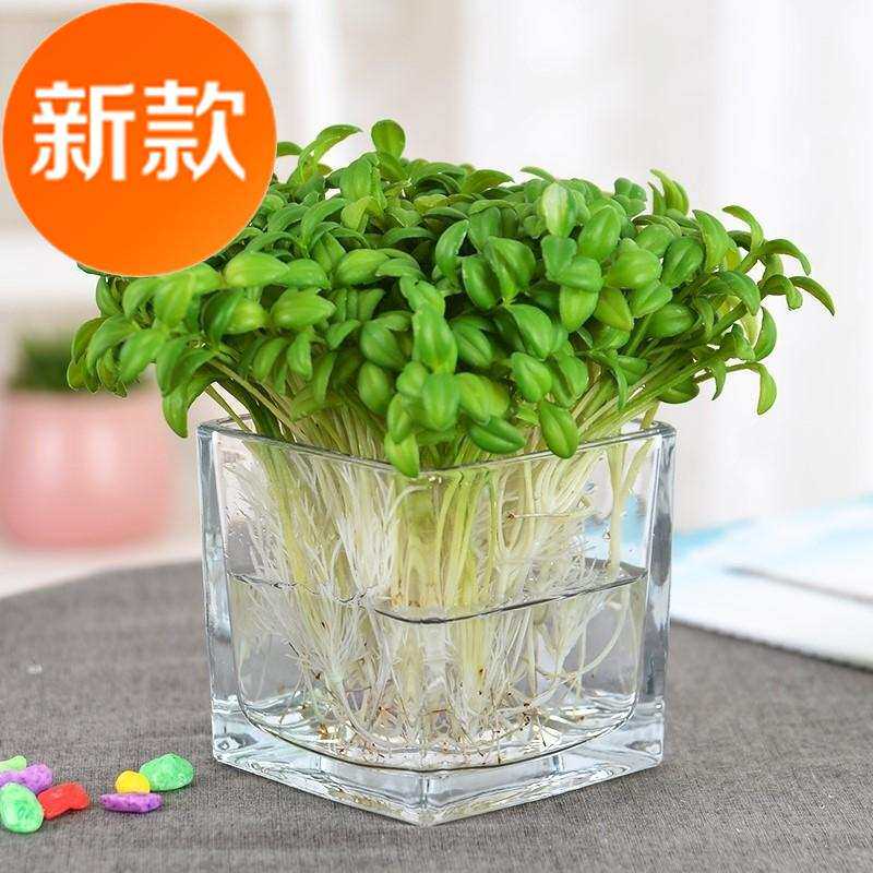 极速特大号欧式好看四o方玻璃花瓶水培花瓶卧室方缸容器长方瓶插