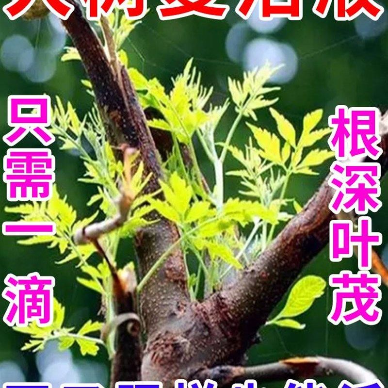 极速枯树复活再生k营养液提高移栽成活改善树木充分活大树专用复,鲜花速递/花卉仿真/绿植园艺,家庭园艺肥料,淘宝优惠券,粉丝福利购,淘宝优惠卷