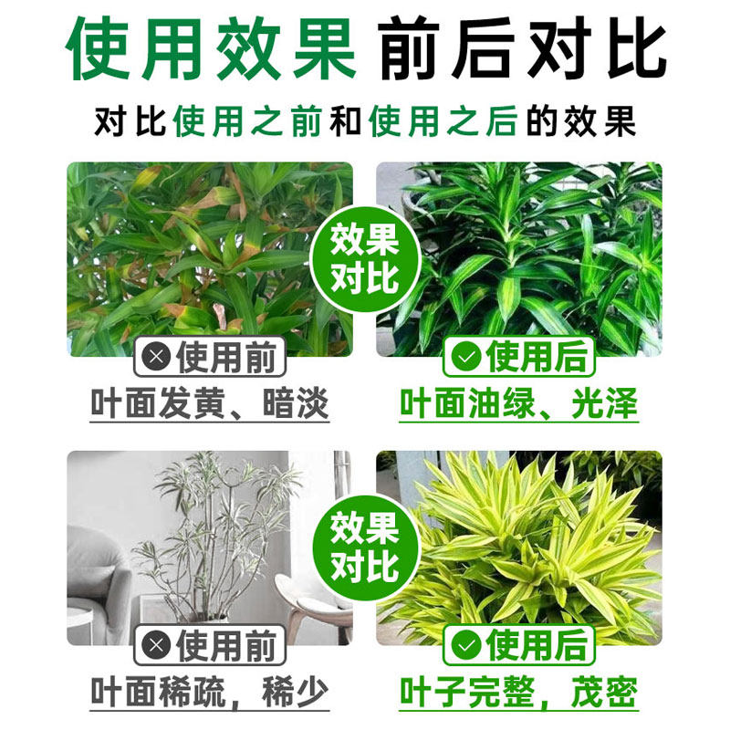 新品竹子专用营养液铁q树叶子发黄红竹红观音竹猛生根原液竹子专