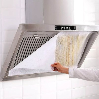 极速Filtro de sukcci&oacuten de aceite para campana extr