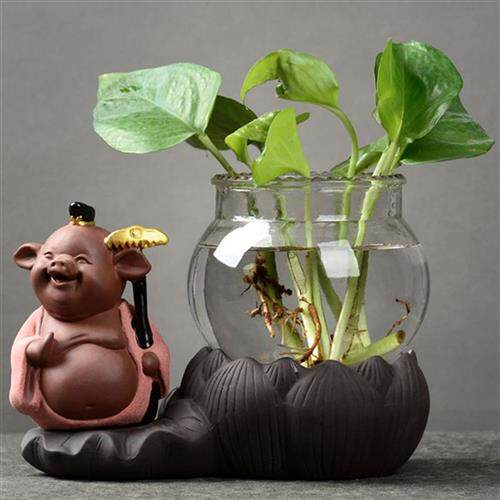 极速绿萝a水培植物透明玻璃瓶水养花瓶器皿容器盆器客厅摆件家居