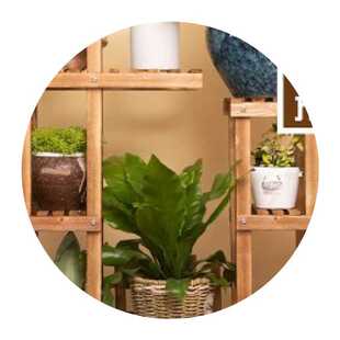 极速多用置物架带花盆盆景中式楼梯花架走廊卡扣耐V用盆栽架台阶