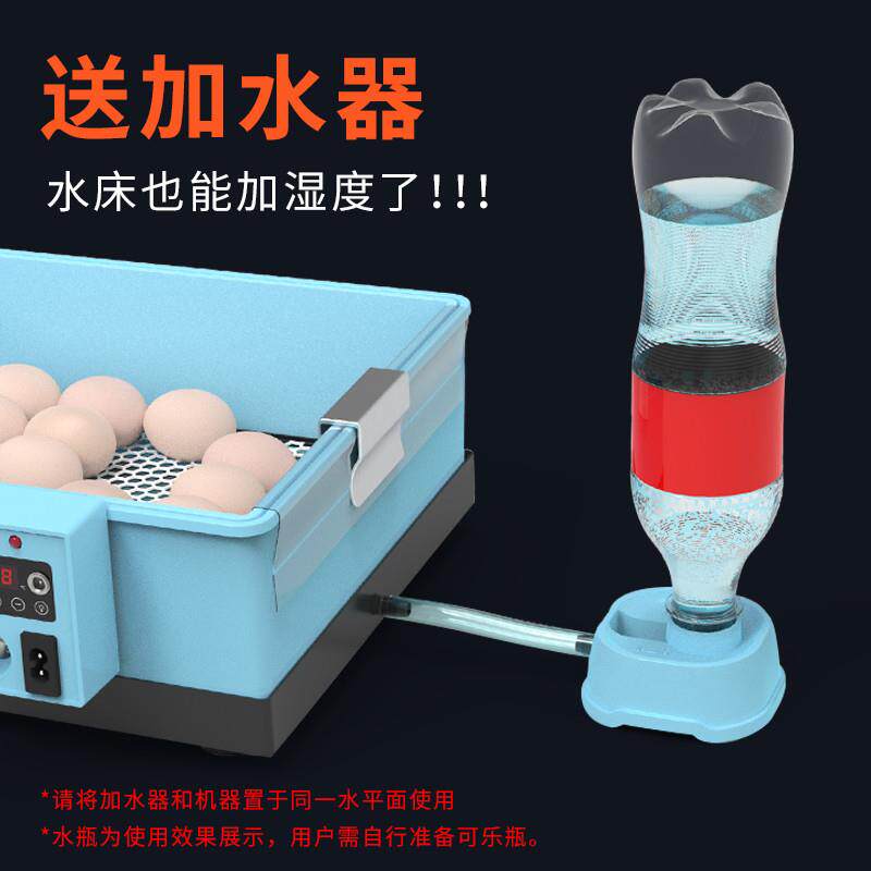 极速水床孵化器小型家用迷你孵化机全自动智能鸟蛋芦丁鸡孵蛋箱