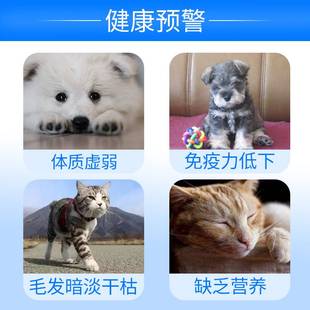 极速法国营养膏狗狗比熊法斗幼犬猫咪维生素B增强免疫力克补软膏