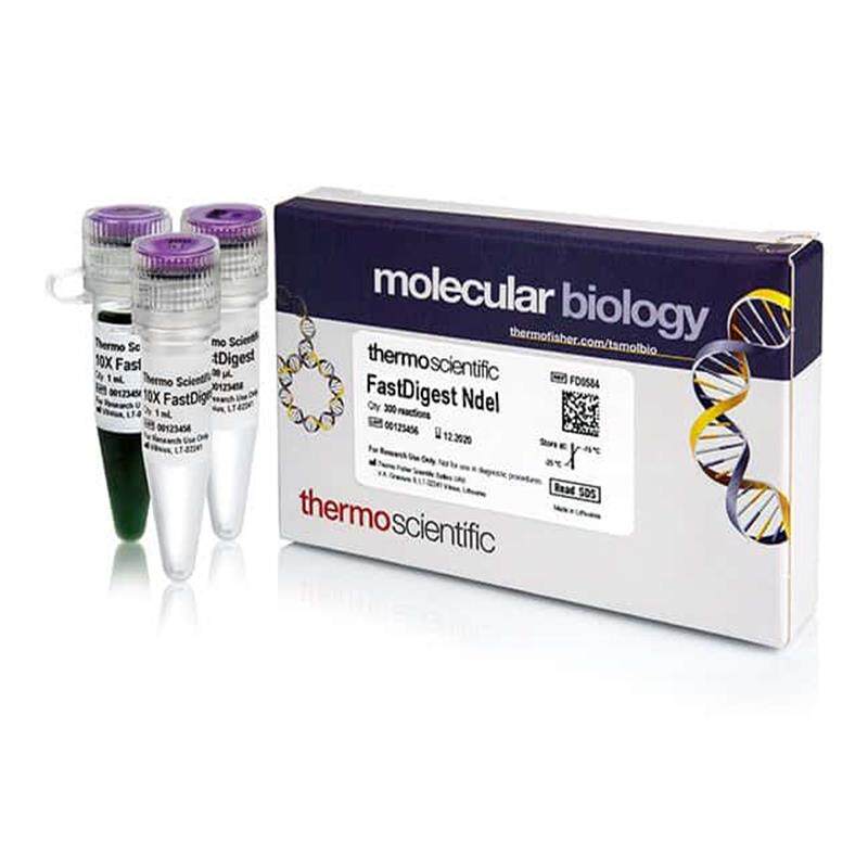 好货FastDigest NdeI thermofisher上海生物网 内切酶 优质产品