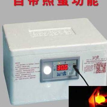 好货新品家用型鸡鸭鹅受精蛋小型孵化w器全自动控温50枚鹌鹑种蛋
