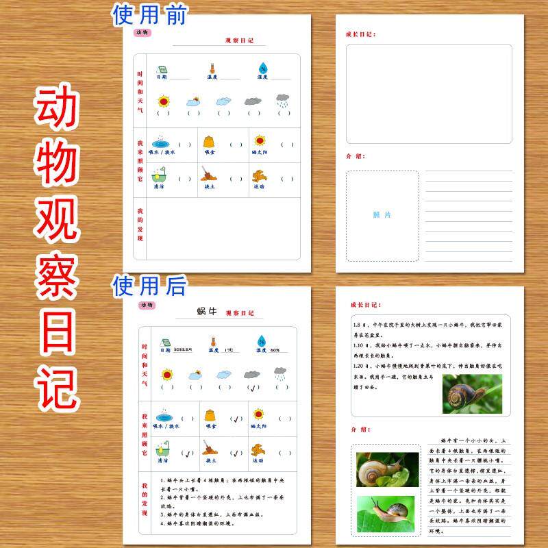 极速小学生动物植物生长观察记录本表幼儿园自然角实验生长发育日