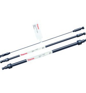 赛默飞DIONEX色谱柱 066295阴离子保护柱AG174X50MM