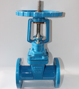 Z41X 软密封明杆球墨铸铁闸阀 16Q 软密封明杆闸阀 软密封闸阀