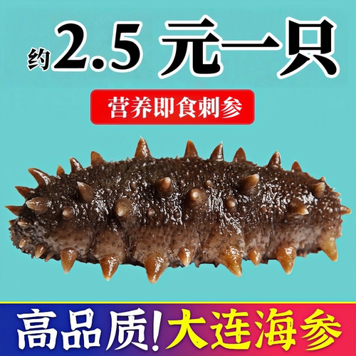 【新品促销】大连鲜食辽刺参
