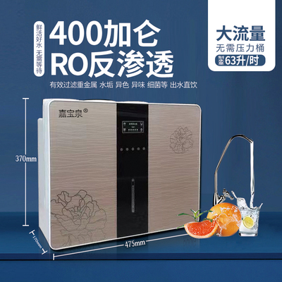 600g净水器RO反渗透纯水机家用直饮厨房除垢G除味400G150G100G自