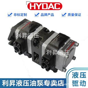 RK23 050 6100 HYDAC贺德克伺服系统齿轮泵PGI101 3570567