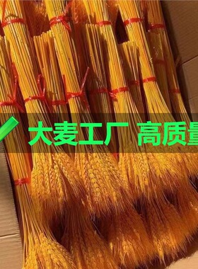 天然黄金麦穗干花招财大麦花束花店花篮厂家麦子小麦客厅装饰批发