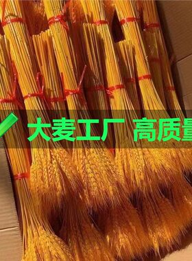 天然黄金麦穗干花招财大麦花束花店花篮厂家麦子小麦客厅装饰批发