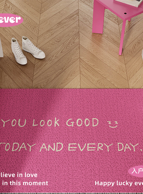 纯色简约ins风入户丝圈地垫防滑脚垫地毯进门垫子玄关门口可裁剪