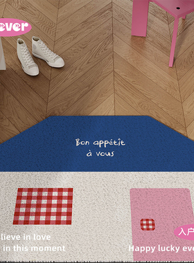 韩系ins风高级感入户地垫丝圈防滑耐脏大门口外进门脚垫自由裁剪